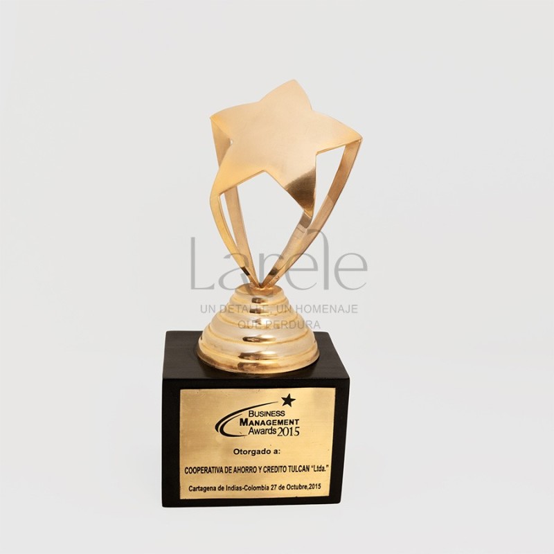 PREMIO ESTRELLA FUGAZ