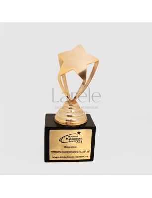 ESTATUILLAS TROFEOS PREMIO ESTRELLA FUGAZ EN BRONCE
