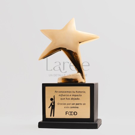 Trofeo estrella en bronce, estatuilla de estrella,  reconocimiento elegante, premio corporativo,  premio personalizado, trofeo