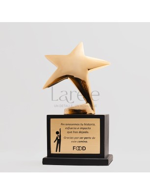 Trofeo estrella en bronce, estatuilla de estrella,  reconocimiento elegante, premio corporativo,  premio personalizado, trofeo
