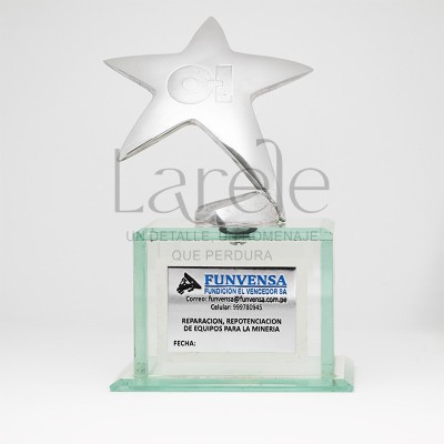 ESTATUILLAS TROFEOS PREMIO ESTRELLA EN BRONCE CON BASE DE CRISTAL